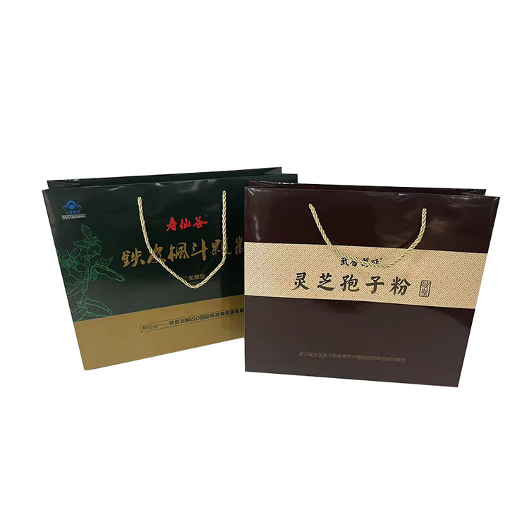 Wholesale Custom Printed Brand Logo Design Promotion Luxury Clothing Retail Gift Shopping Black Jewellery Paper Bag With Handle