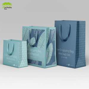 Vary Size Low MOQ Customizing Paper Bag